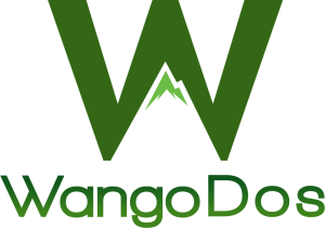 Wangodos-Pitch-Social-Innovation-Competition